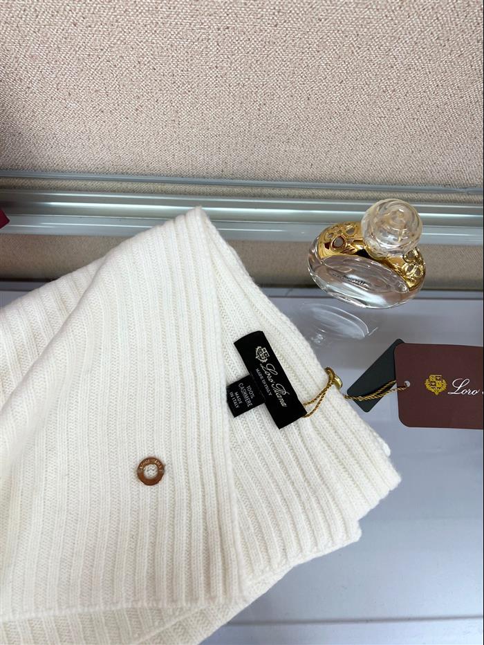 2026116112023719 100